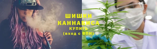 сатива Богородицк