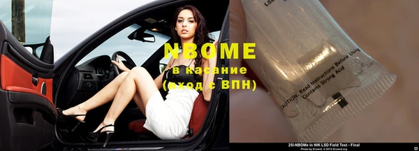 сатива Богородицк