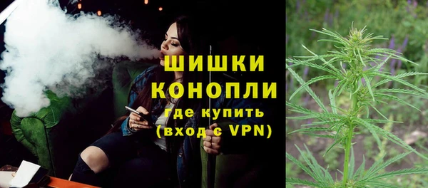 сатива Богородицк