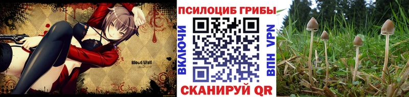 darknet наркотические препараты  сколько стоит  Егорьевск  Галлюциногенные грибы прущие грибы 